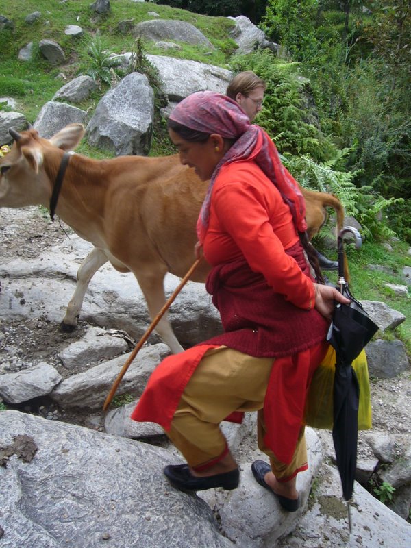 Travel - India - Himachal Pradesh - Manali - Vashisht and Around